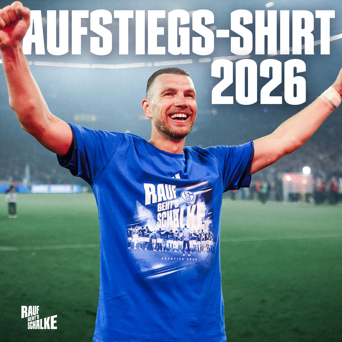 Aufstiegs-Shirt