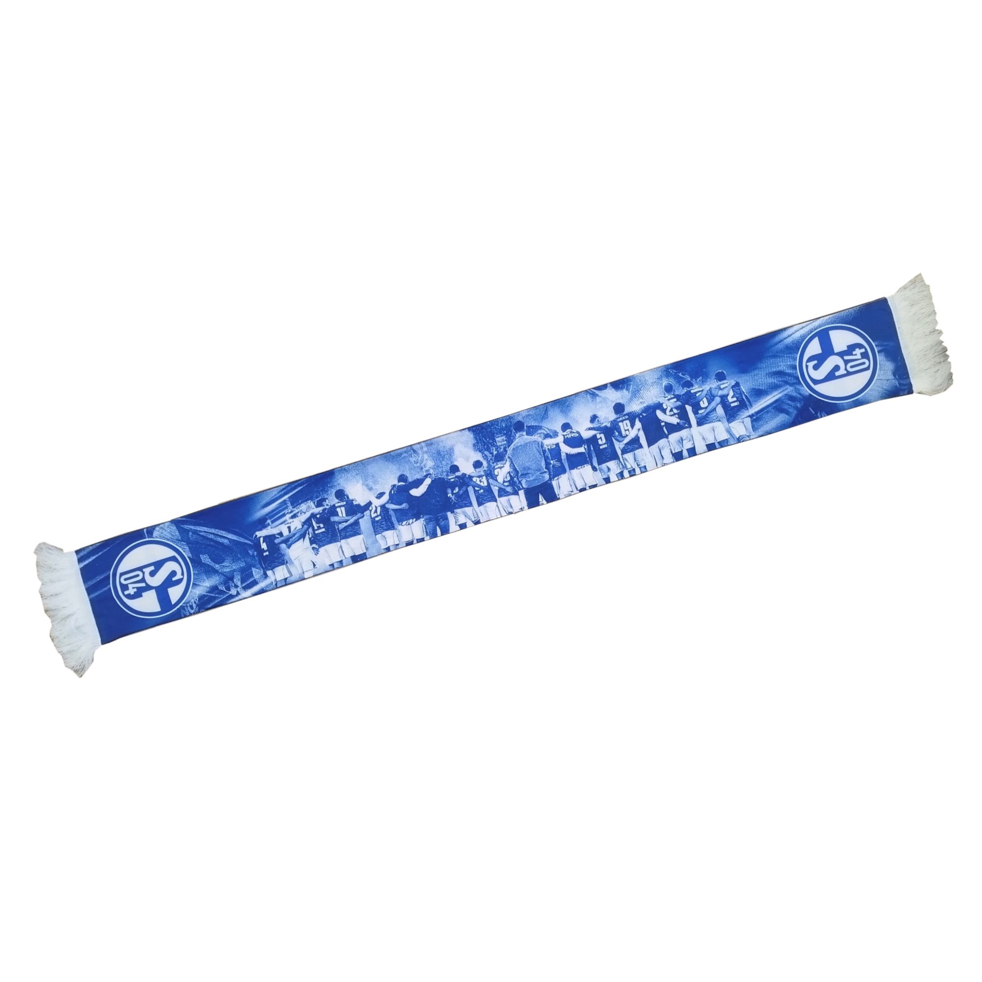 Team FC Schalke 04