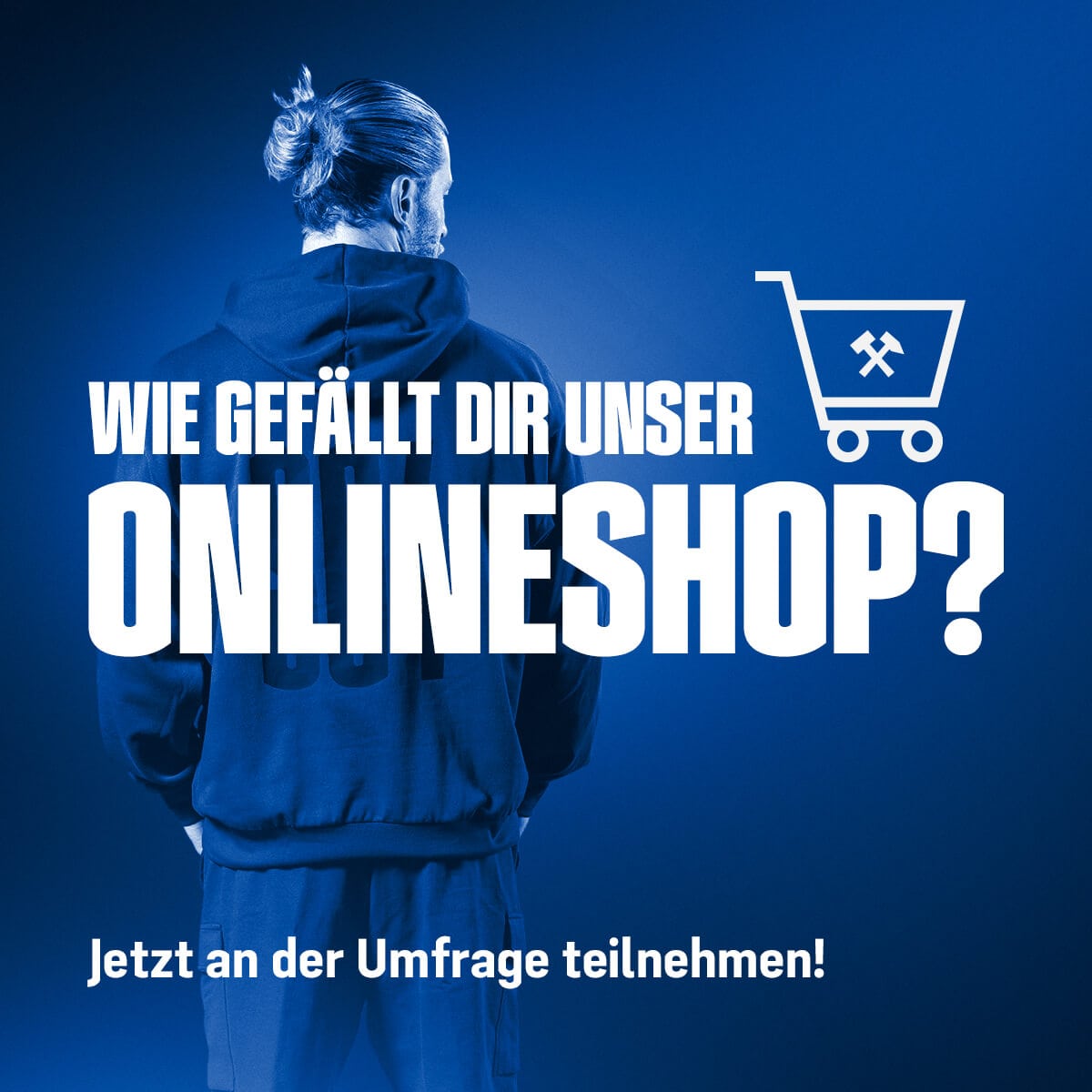 Umfrage Onlineshop