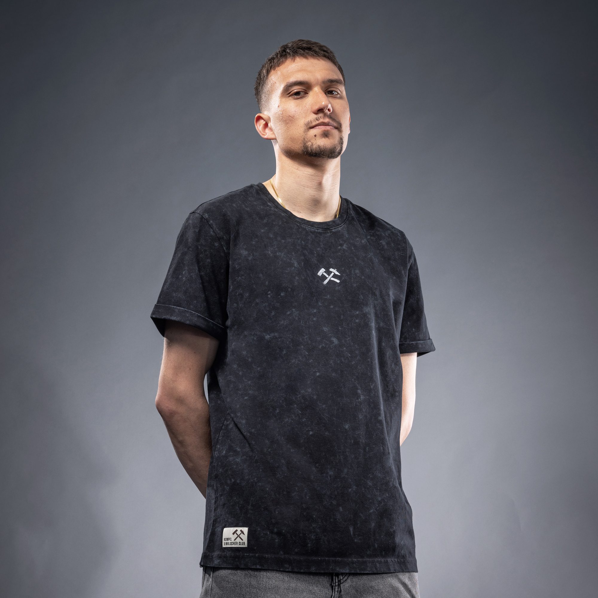 Model Ljubičić