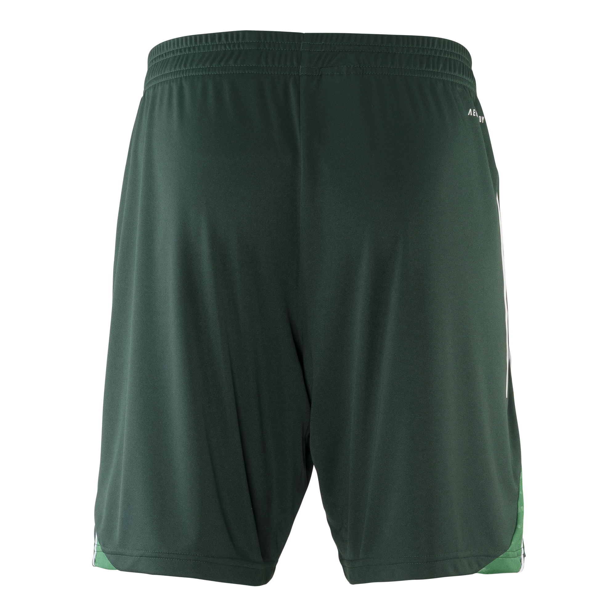 Trainingsshort Schalke grün