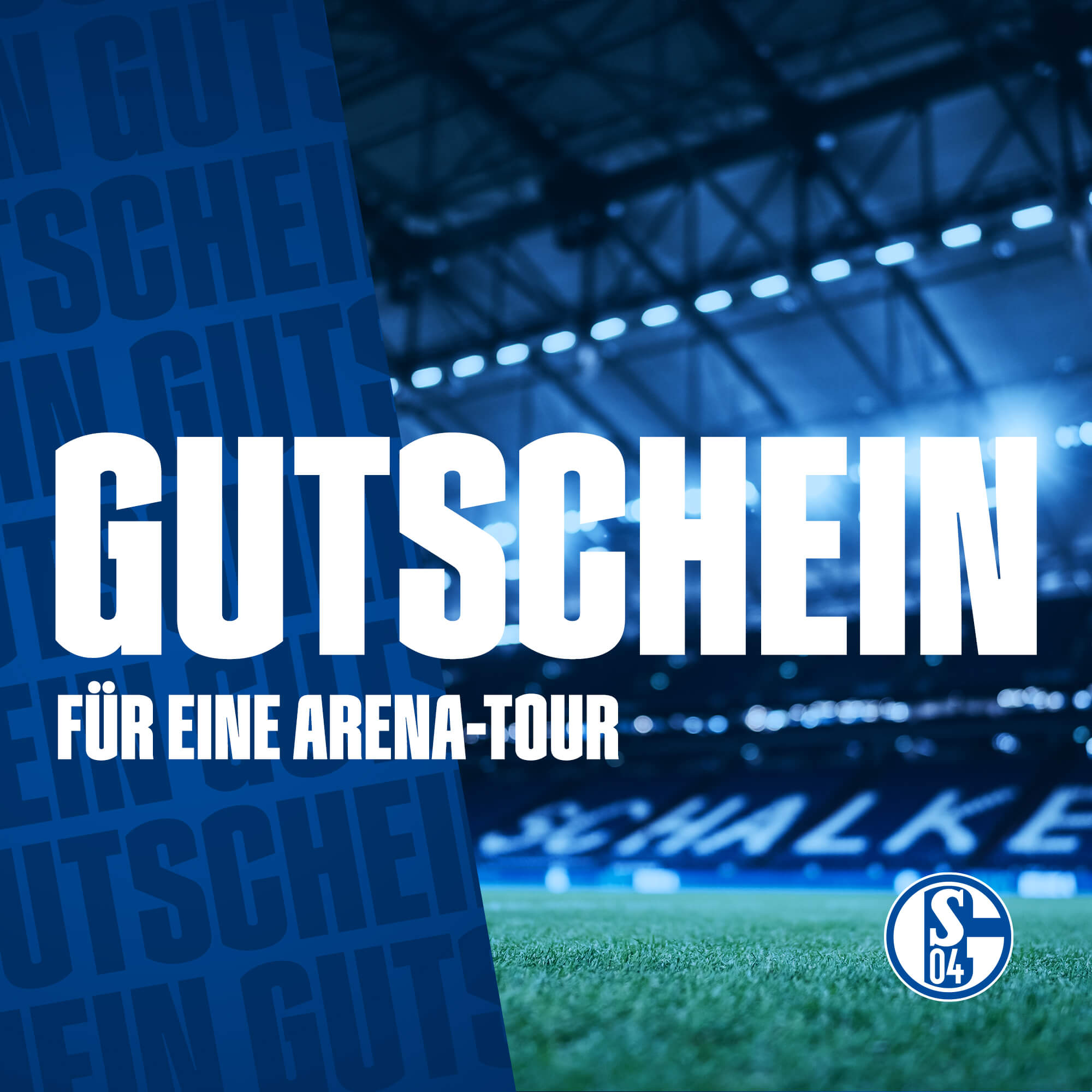 Details für Gutschein für Arena Touren
