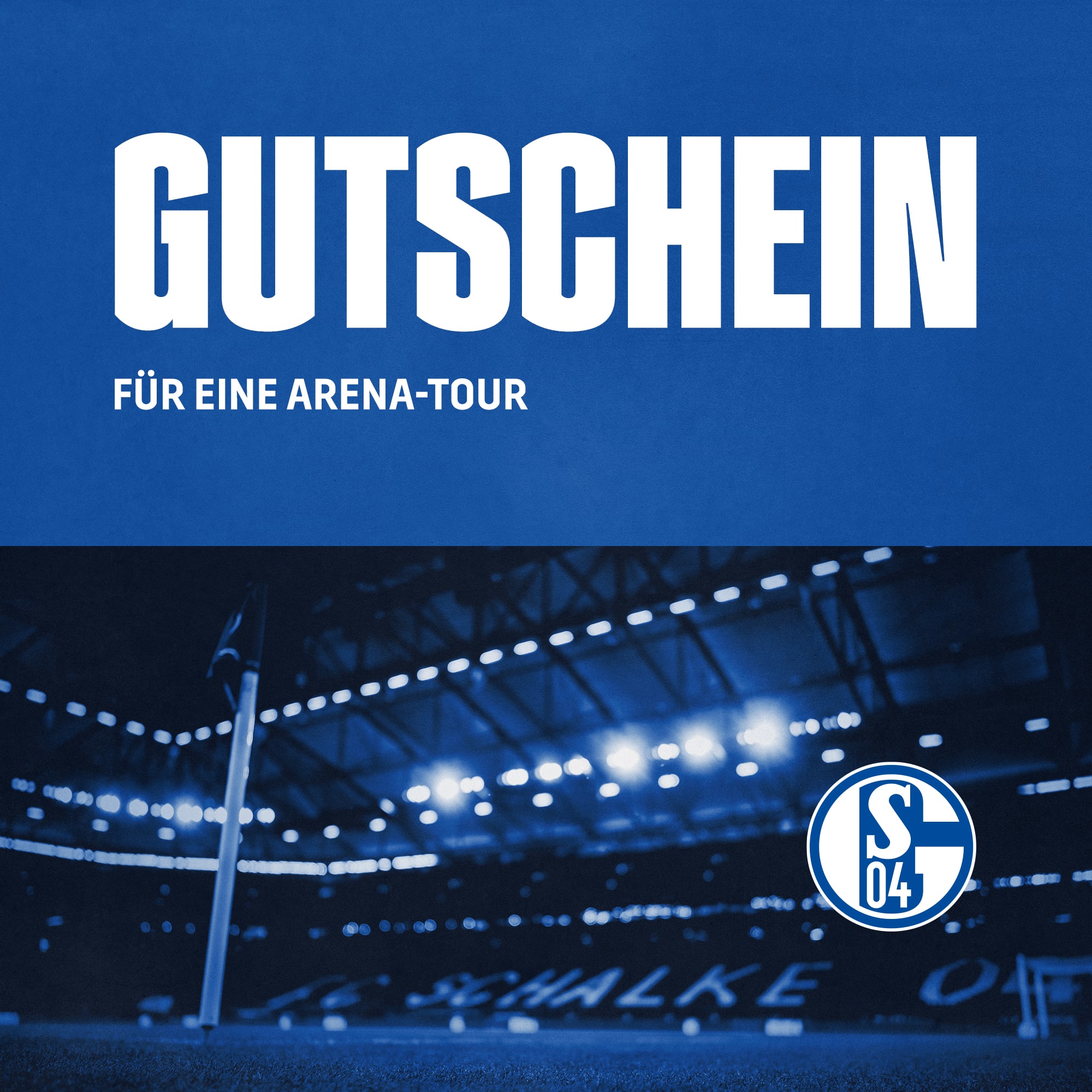 S04-Gutschein Arena Tour