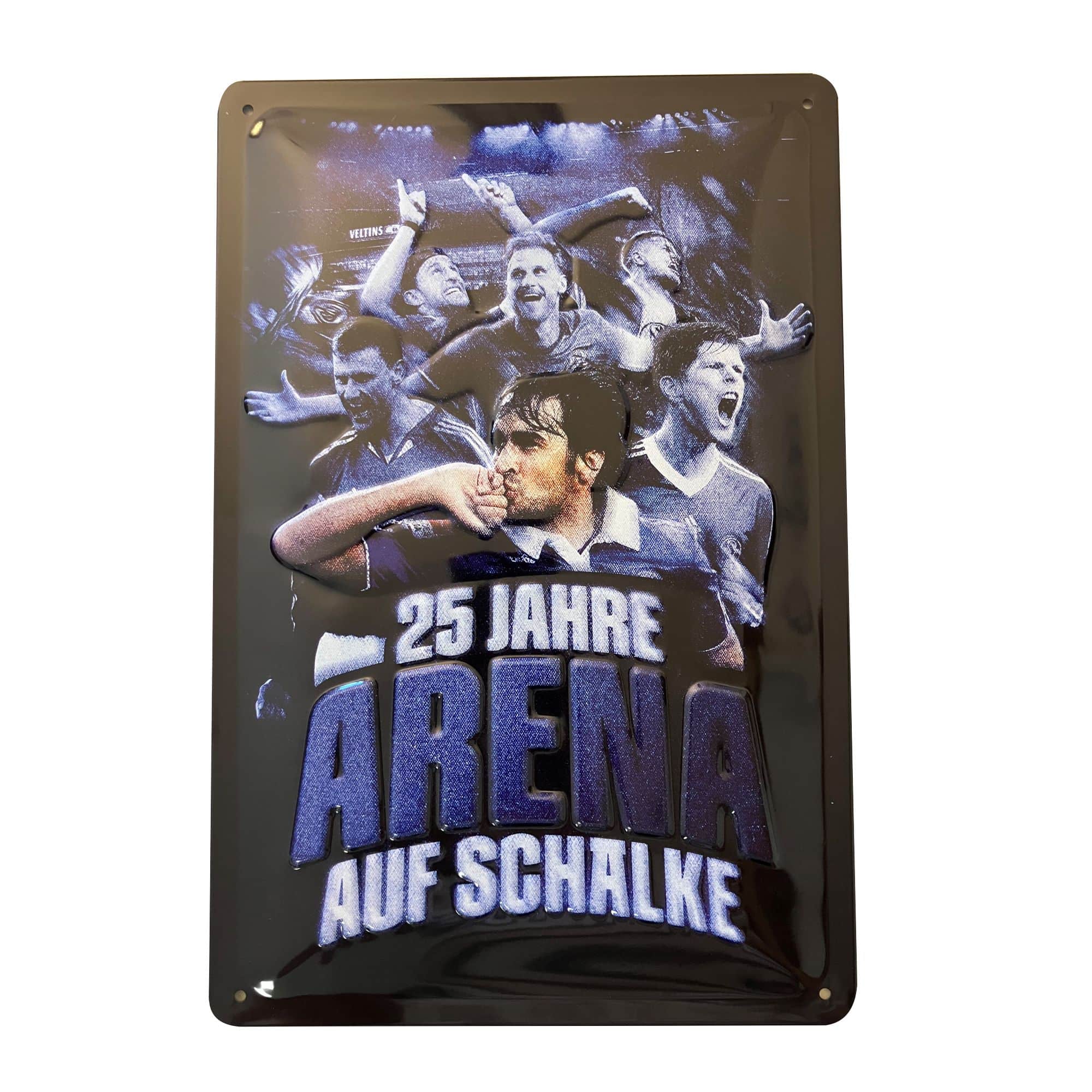 Details für Blechschild 25 Jahre Arena