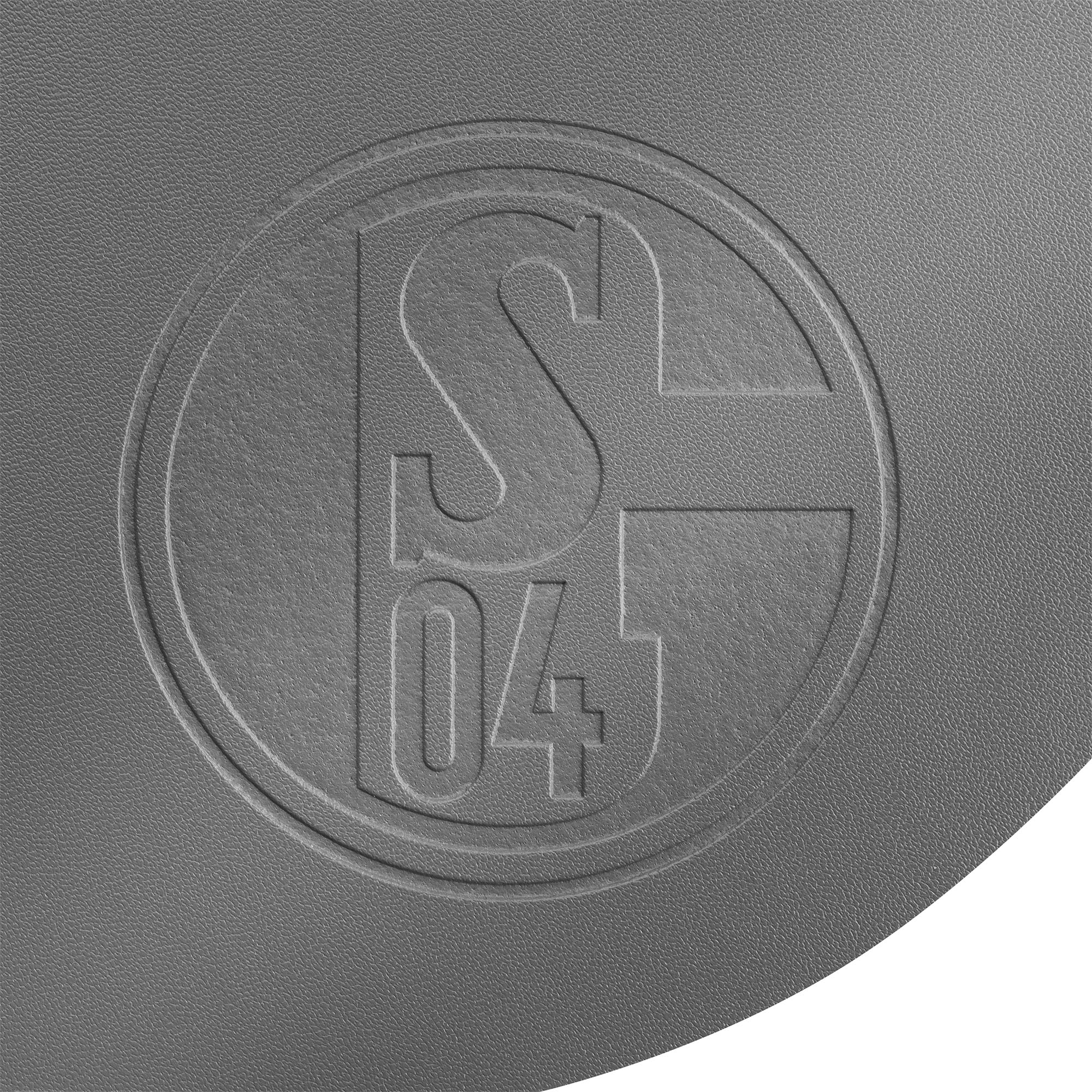 S04-Logo geprägt