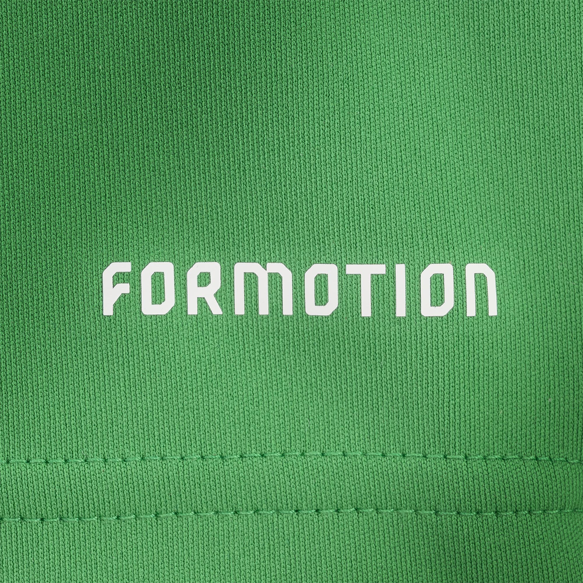 Formotion