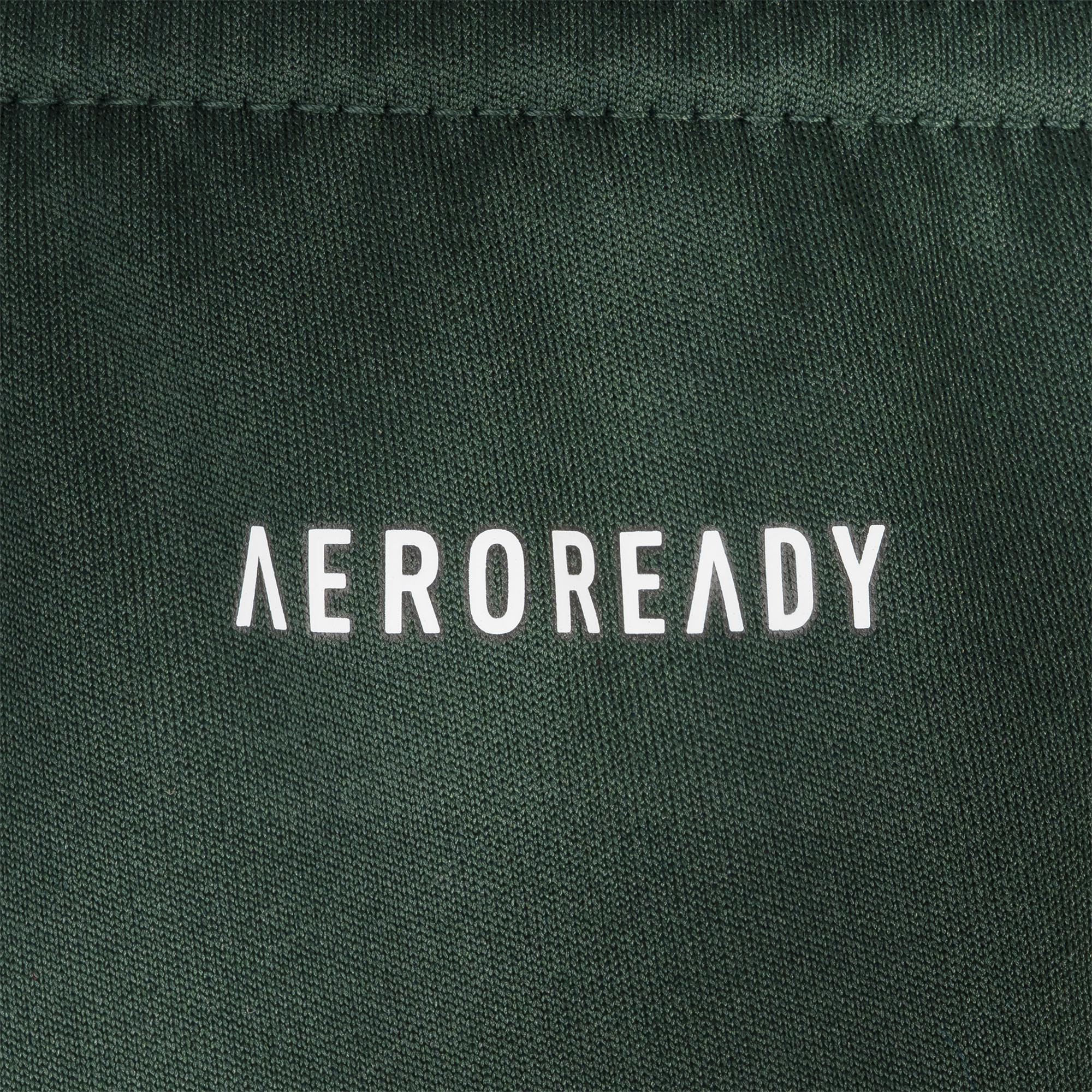 aeroready Logo