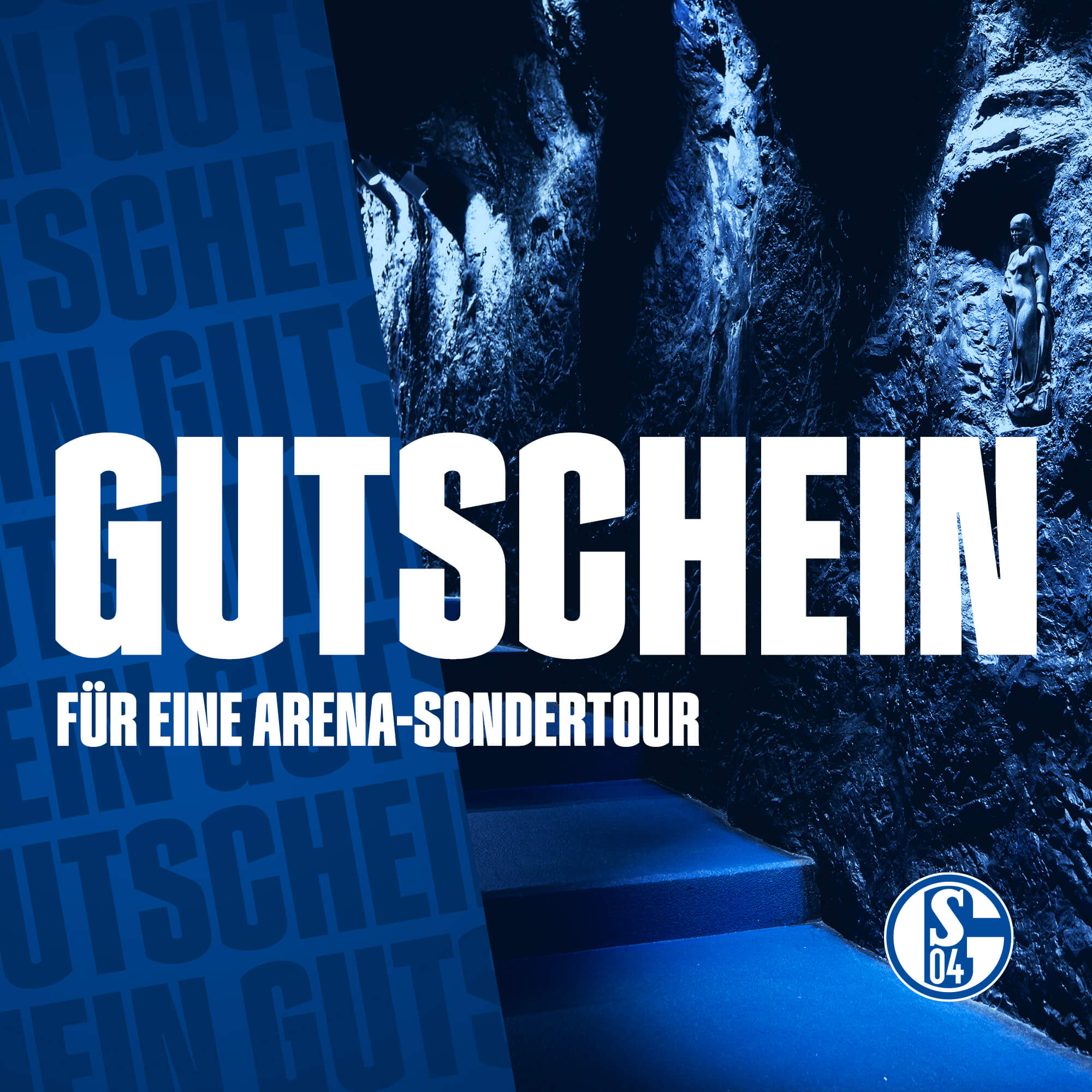 Details für Gutschein für Arena Sondertouren