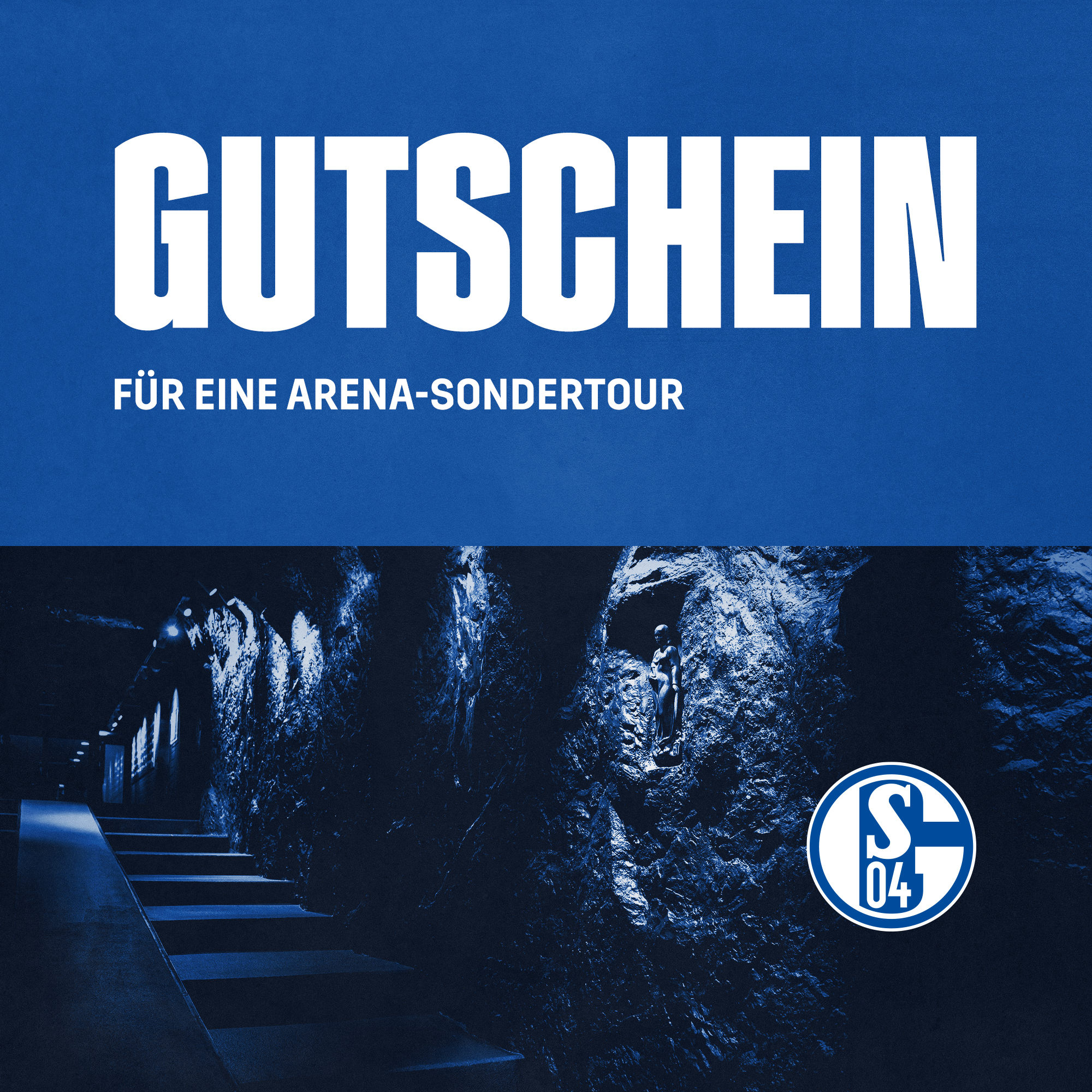 Details für Gutschein für Arena Sondertouren