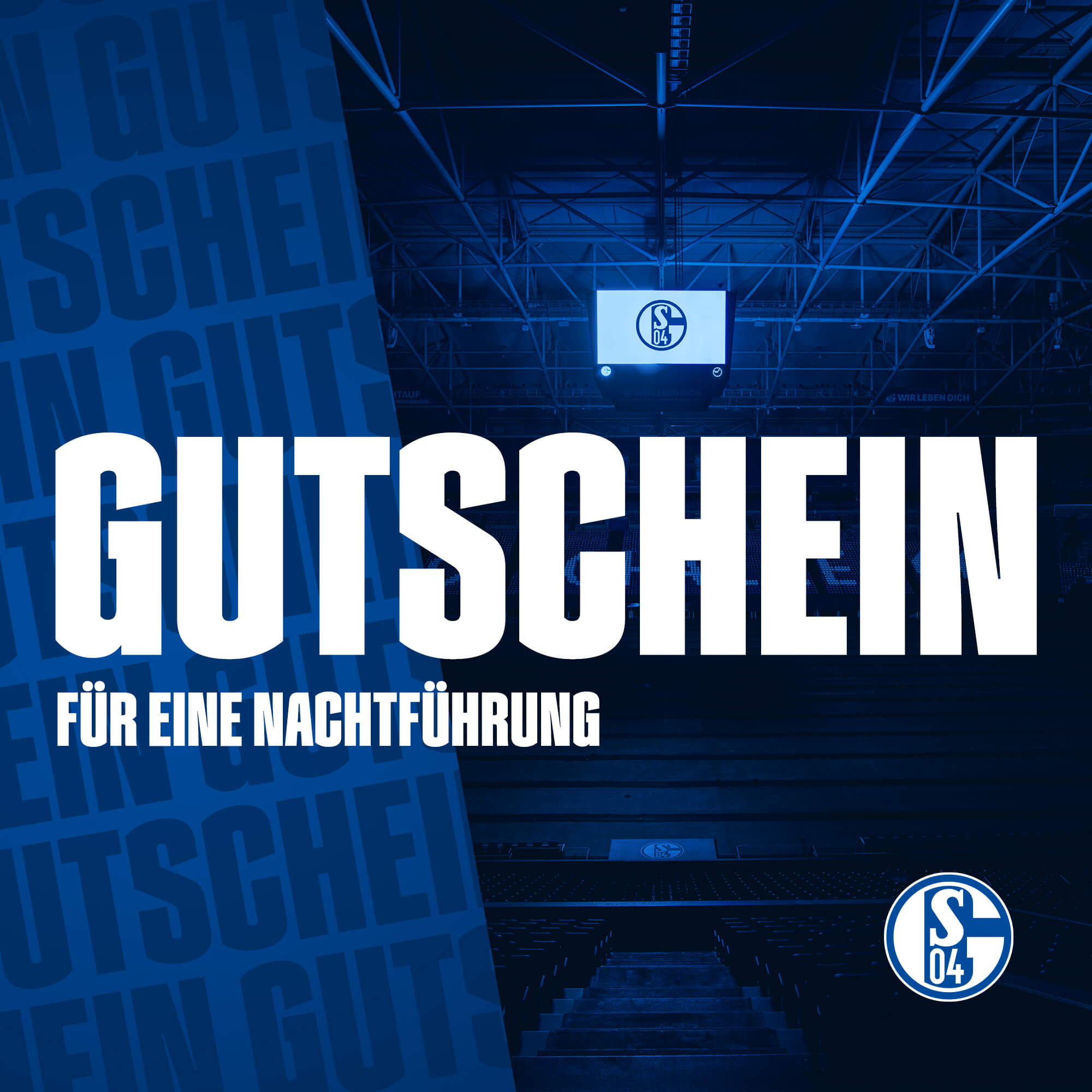Details für Gutschein für eine Arena Nachtführung