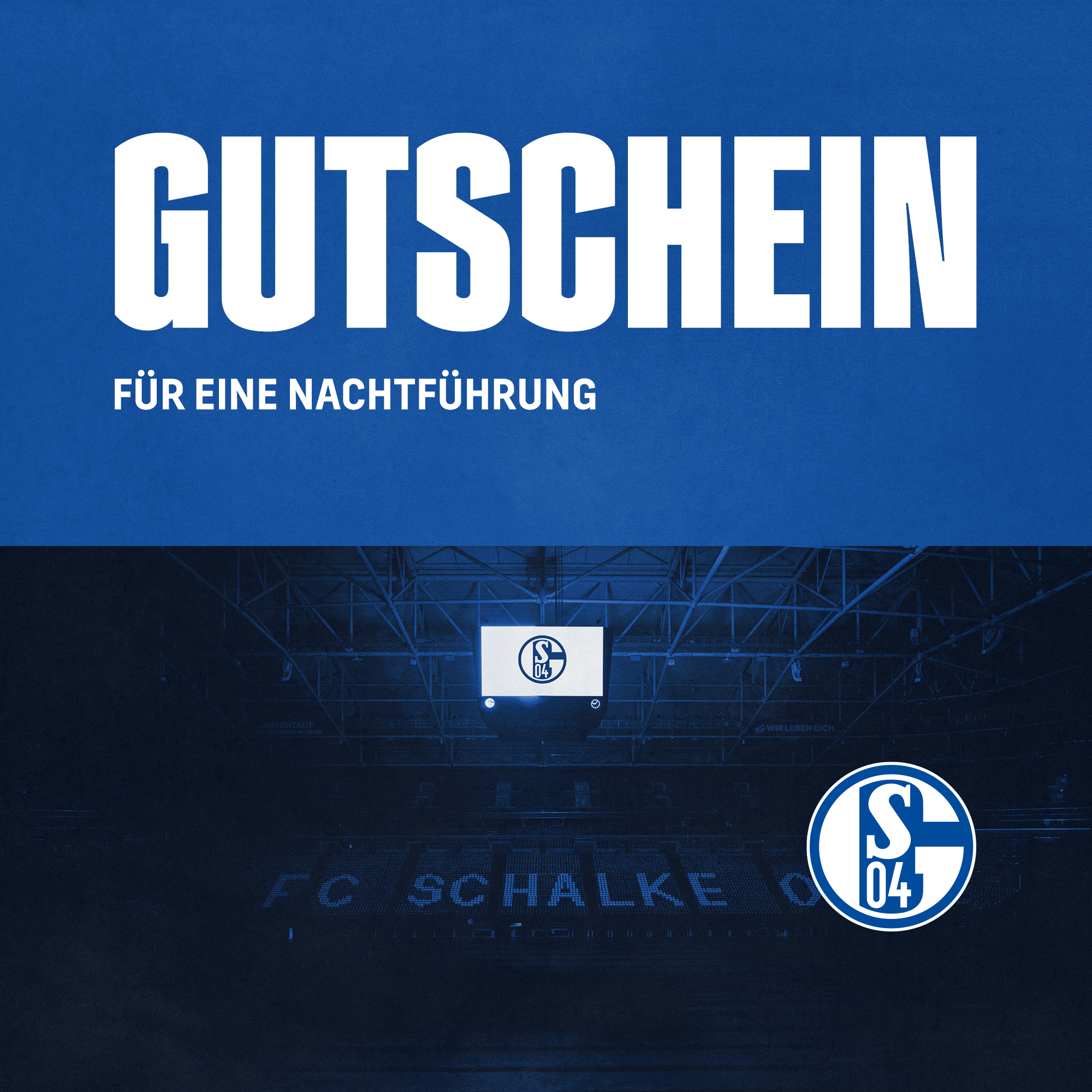Details für Gutschein für eine Arena Nachtführung